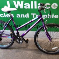 Ignite Crystal F19 W26 Ladies MBT