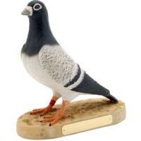 Pigeon R594-48