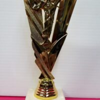 Karate trophy
