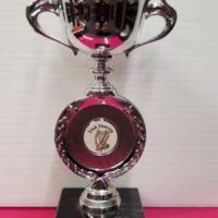 Silver/blue cup trophy