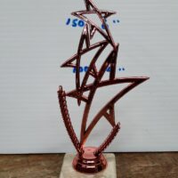 pink star trophy