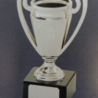 Silver cup