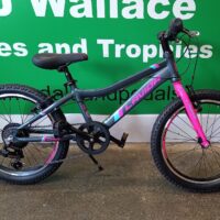 Umit Lavida